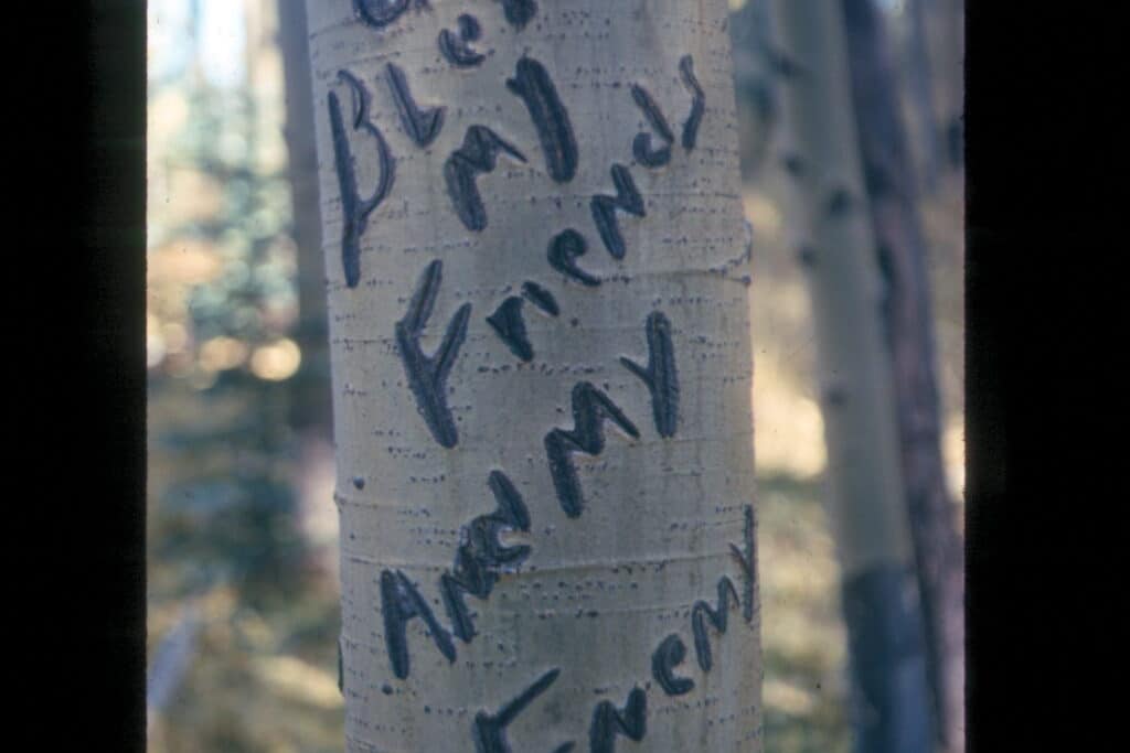 Aspen Art-Bless my friends and my enemy