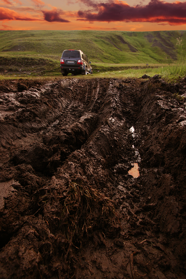 Off-road driving in wilderness