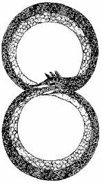 Ouroboros—symbol of Life