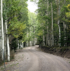 Aspen Road